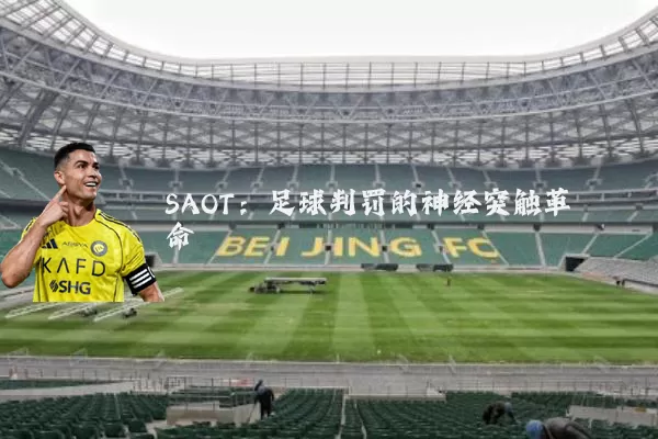 SAOT：足球判罚的神经突触革命